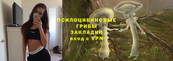 дурь Володарск