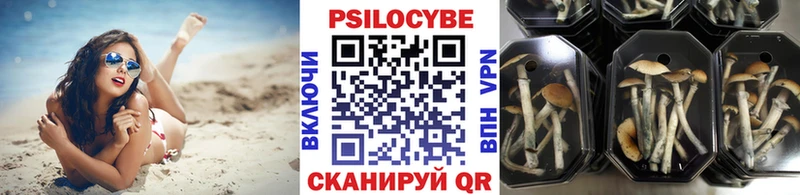 цена   Ноябрьск  Псилоцибиновые грибы прущие грибы 